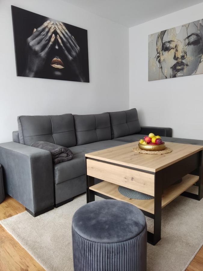 Apartmán Apartament Janis Zator Exteriér fotografie